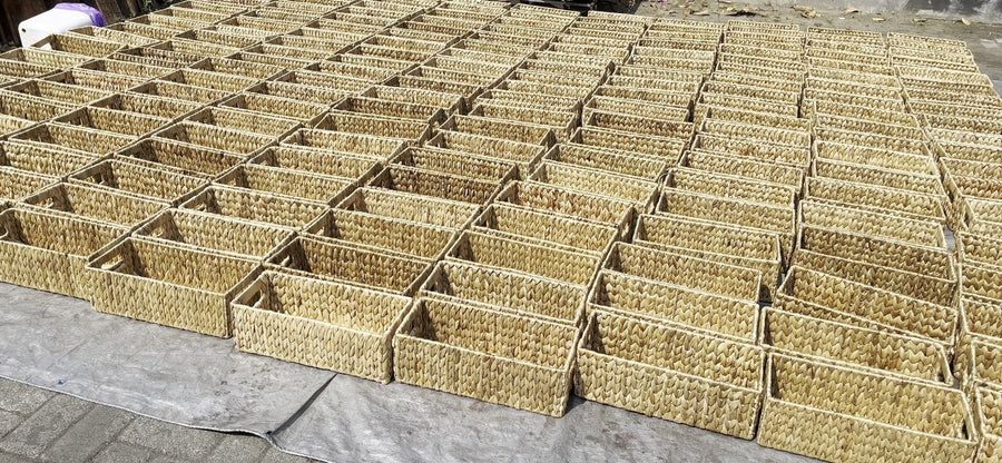Sun dried in the yard
